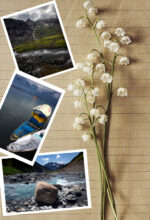 Kashmir Calling Postcards (Set of 4)